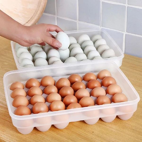 24 Grid Egg Storage Box